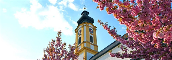 Ein Uhrturm mit rosa Blumen